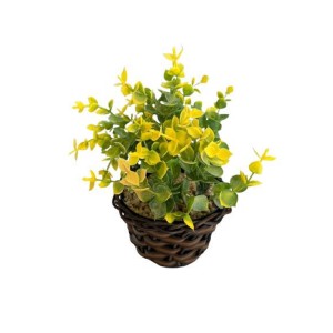 Arranjo Pequeno Folhagem Verde